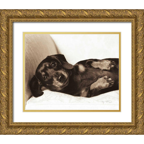 Dachshund Diva Gold Ornate Wood Framed Art Print with Double Matting by Dratfield, Jim