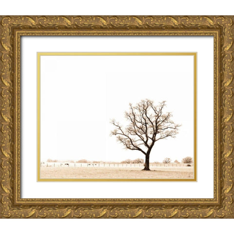 Bleached Bones of Winter Gold Ornate Wood Framed Art Print with Double Matting by Bevan, Keri