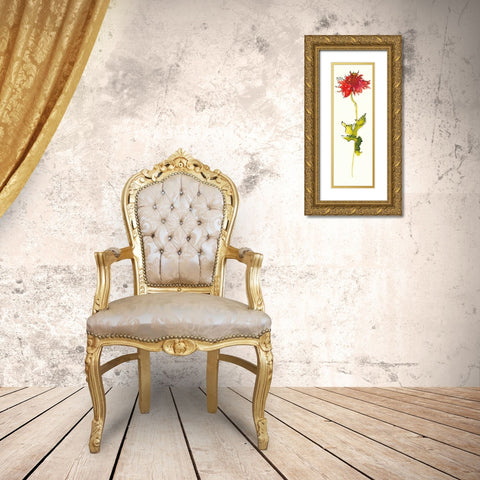 Peony Form Poppies III Gold Ornate Wood Framed Art Print with Double Matting by Novak, Shirley