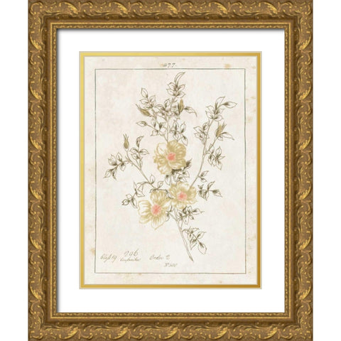 Flowers on White II with Words Gold Ornate Wood Framed Art Print with Double Matting by Wild Apple Portfolio