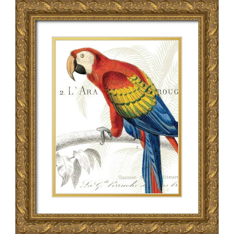 Parrot Botanique II Gold Ornate Wood Framed Art Print with Double Matting by Wild Apple Portfolio