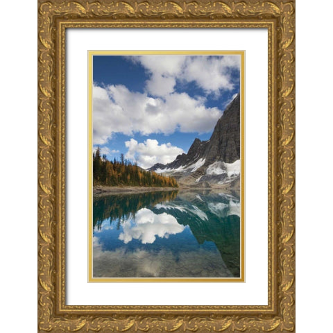 Floe Lake Reflection I Gold Ornate Wood Framed Art Print with Double Matting by Majcrowicz, Alan