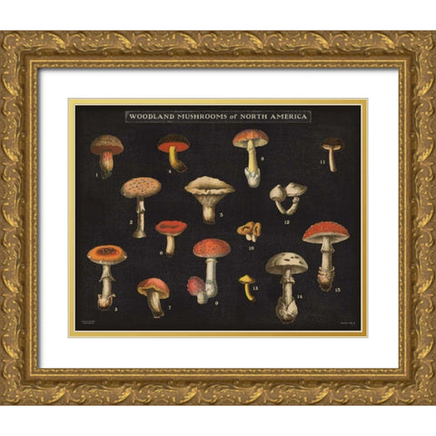 Mushroom Chart I Gold Ornate Wood Framed Art Print with Double Matting by Wild Apple Portfolio