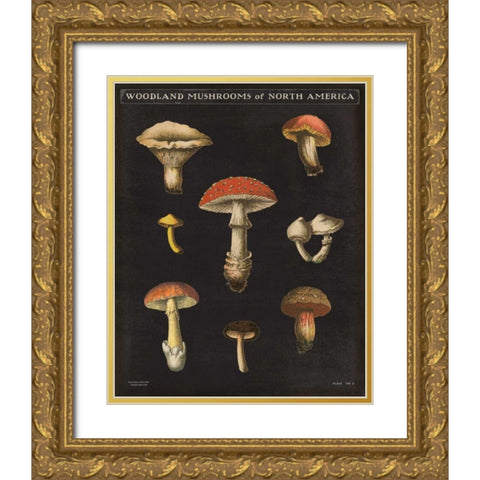 Mushroom Chart II Gold Ornate Wood Framed Art Print with Double Matting by Wild Apple Portfolio