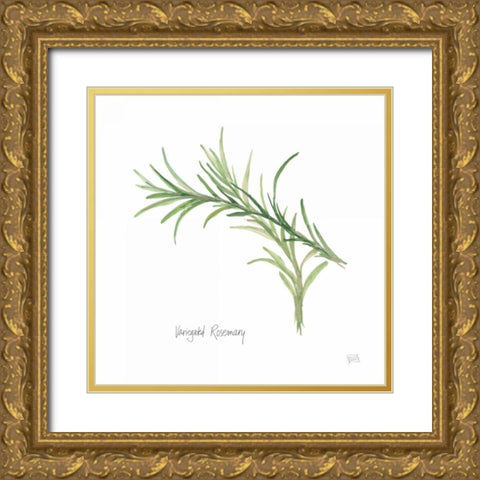 Variegated Rosemary v2 Gold Ornate Wood Framed Art Print with Double Matting by Paschke, Chris