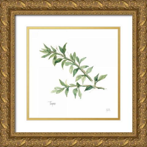 Thyme v2 Gold Ornate Wood Framed Art Print with Double Matting by Paschke, Chris