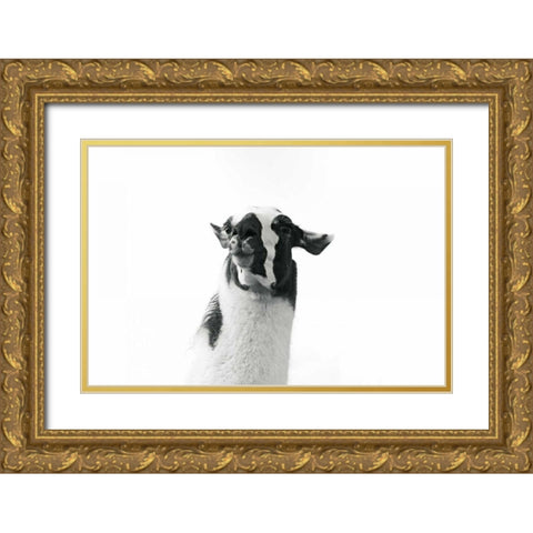 Lovable Llama I Gold Ornate Wood Framed Art Print with Double Matting by Marshall, Laura
