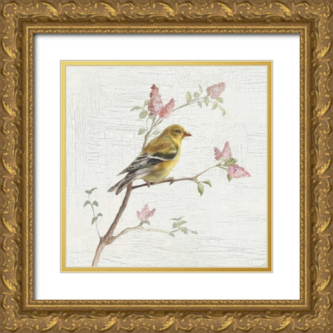 Female Goldfinch Vintage Gold Ornate Wood Framed Art Print with Double Matting by Nai, Danhui