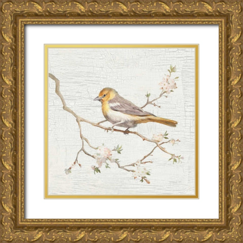 Northern Oriole Vintage Gold Ornate Wood Framed Art Print with Double Matting by Nai, Danhui