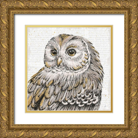 Beautiful Owls I Gold Ornate Wood Framed Art Print with Double Matting by Brissonnet, Daphne