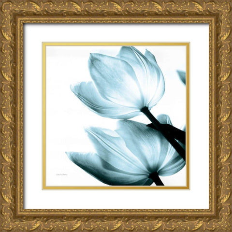 Translucent Tulips II Sq Aqua Crop Gold Ornate Wood Framed Art Print with Double Matting by Van Swearingen, Debra