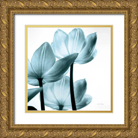 Translucent Tulips III Sq Aqua Crop Gold Ornate Wood Framed Art Print with Double Matting by Van Swearingen, Debra