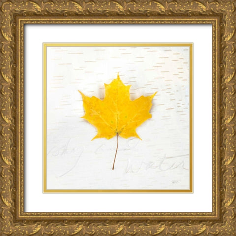 Autumn Colors II Gold Ornate Wood Framed Art Print with Double Matting by Schlabach, Sue