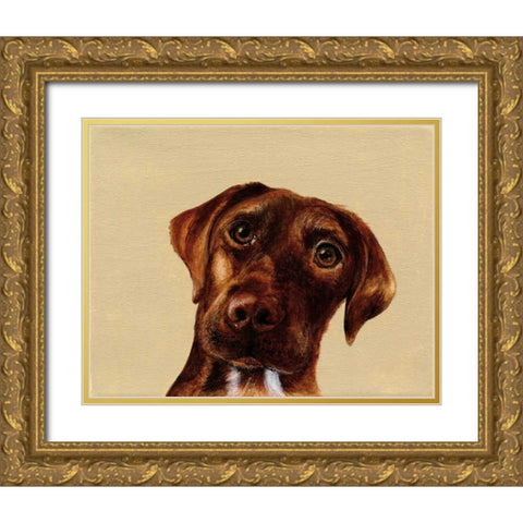 Moose Gold Ornate Wood Framed Art Print with Double Matting by Ducklow, Patsy