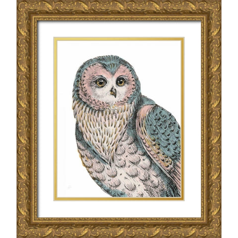 Beautiful Owls IV Pastel Gold Ornate Wood Framed Art Print with Double Matting by Brissonnet, Daphne