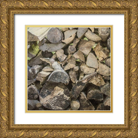 Chopped I Crop Gold Ornate Wood Framed Art Print with Double Matting by Urquhart, Elizabeth