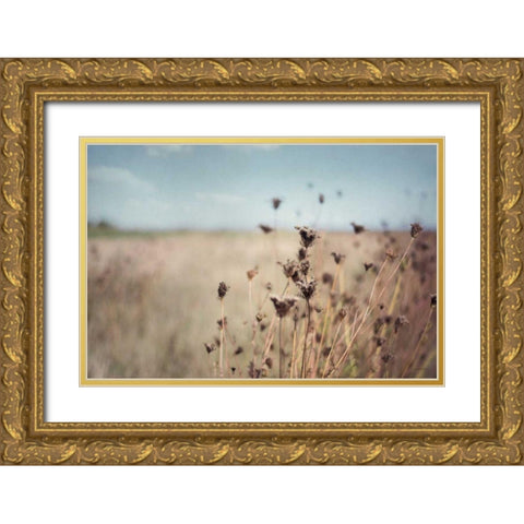 Falling Queen Annes Lace I Crop Gold Ornate Wood Framed Art Print with Double Matting by Urquhart, Elizabeth