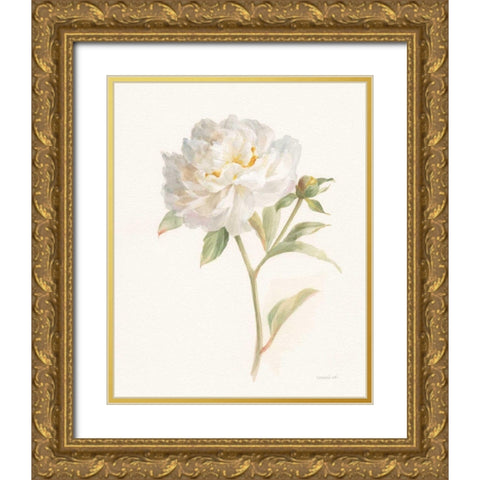 Garden Peony Gold Ornate Wood Framed Art Print with Double Matting by Nai, Danhui