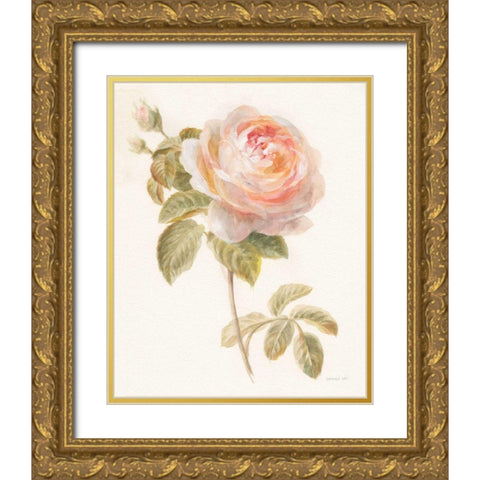 Garden Rose Gold Ornate Wood Framed Art Print with Double Matting by Nai, Danhui