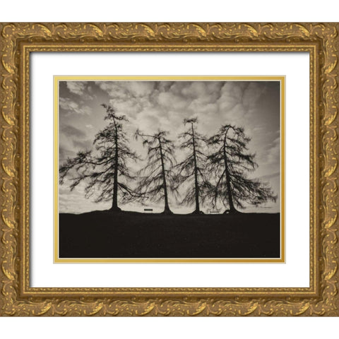 Park Trees Gold Ornate Wood Framed Art Print with Double Matting by Bevan, Keri