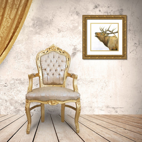 Majestic Elk Brown Crop Gold Ornate Wood Framed Art Print with Double Matting by Wiens, James