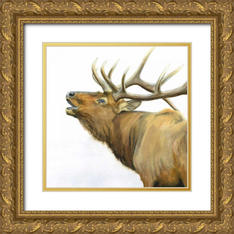 Majestic Elk Brown Crop Gold Ornate Wood Framed Art Print with Double Matting by Wiens, James