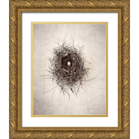 Nest I Gold Ornate Wood Framed Art Print with Double Matting by Van Swearingen, Debra