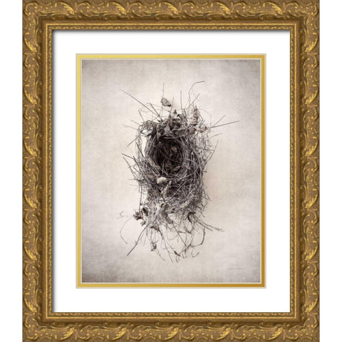 Nest II Gold Ornate Wood Framed Art Print with Double Matting by Van Swearingen, Debra