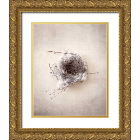 Nest III Gold Ornate Wood Framed Art Print with Double Matting by Van Swearingen, Debra