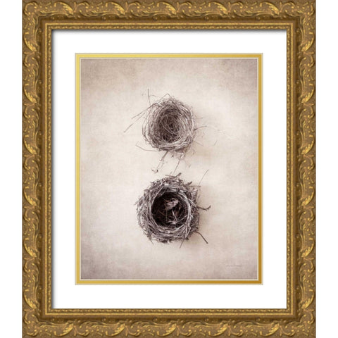 Nest IV Gold Ornate Wood Framed Art Print with Double Matting by Van Swearingen, Debra