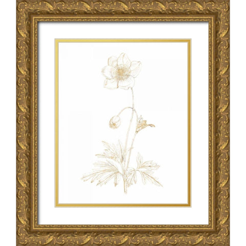 Gilded Botanical II Gold Ornate Wood Framed Art Print with Double Matting by Wild Apple Portfolio