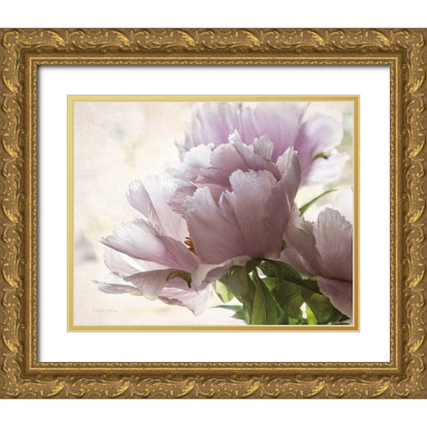 Translucent Peony I Gold Ornate Wood Framed Art Print with Double Matting by Van Swearingen, Debra
