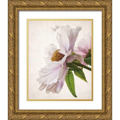 Translucent Peony IV Gold Ornate Wood Framed Art Print with Double Matting by Van Swearingen, Debra
