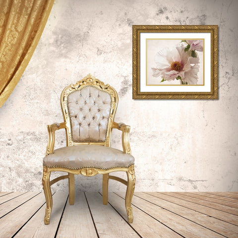 Translucent Peony V Gold Ornate Wood Framed Art Print with Double Matting by Van Swearingen, Debra