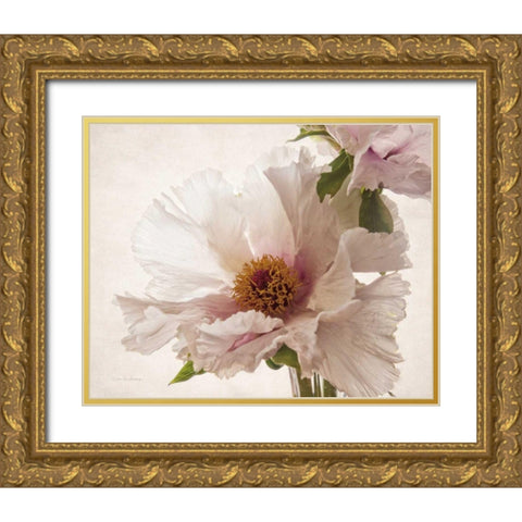 Translucent Peony V Gold Ornate Wood Framed Art Print with Double Matting by Van Swearingen, Debra