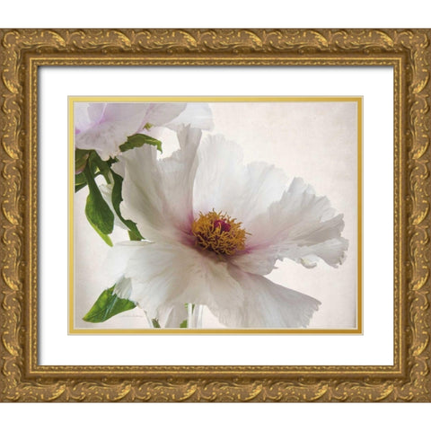 Translucent Peony VI Gold Ornate Wood Framed Art Print with Double Matting by Van Swearingen, Debra