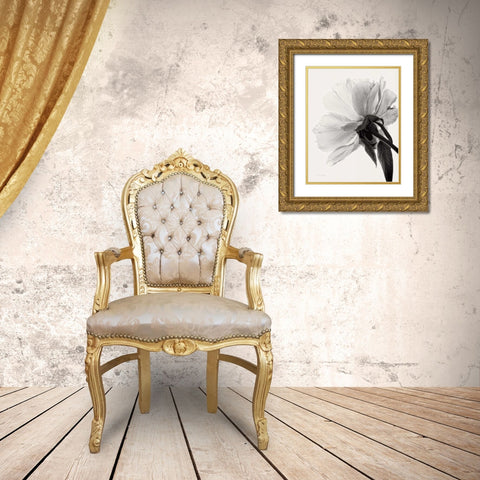 Translucent Peony IIIBW Gold Ornate Wood Framed Art Print with Double Matting by Van Swearingen, Debra