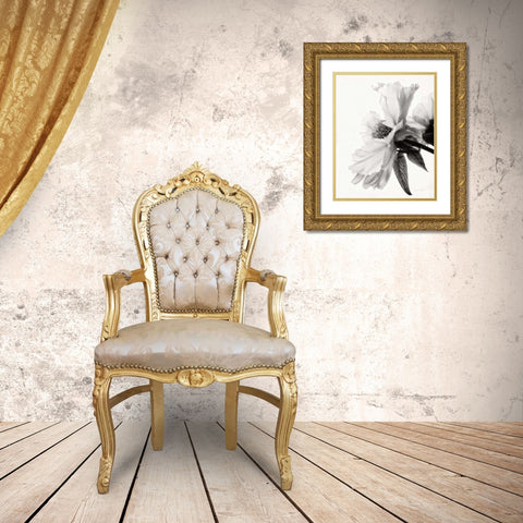 Translucent Peony IVBW Gold Ornate Wood Framed Art Print with Double Matting by Van Swearingen, Debra