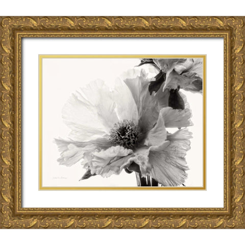 Translucent Peony VBW Gold Ornate Wood Framed Art Print with Double Matting by Van Swearingen, Debra