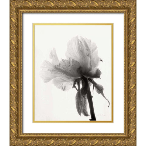 Translucent Peony VIIIBW Gold Ornate Wood Framed Art Print with Double Matting by Van Swearingen, Debra