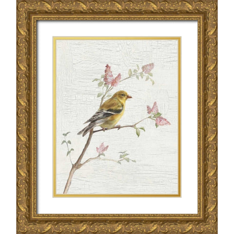 Female Goldfinch Vintage v2 Gold Ornate Wood Framed Art Print with Double Matting by Nai, Danhui