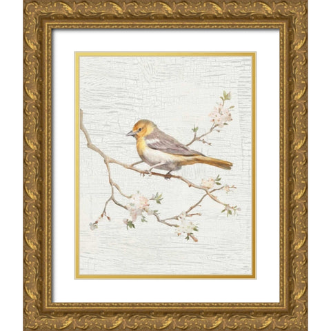 Northern Oriole Vintage v2 Gold Ornate Wood Framed Art Print with Double Matting by Nai, Danhui