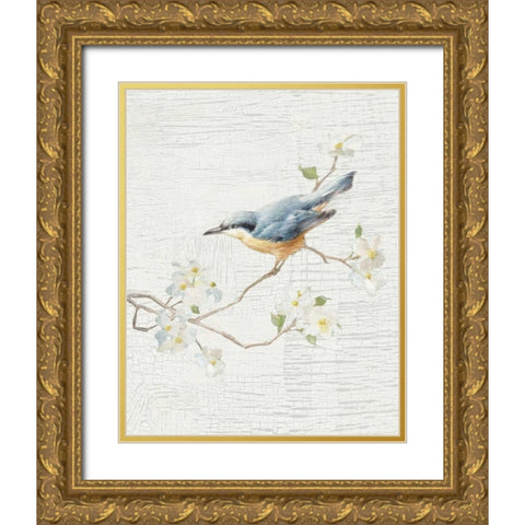 Nuthatch Vintage v2 Gold Ornate Wood Framed Art Print with Double Matting by Nai, Danhui