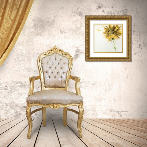 Yellow Daisy on White Gold Ornate Wood Framed Art Print with Double Matting by Griggs, Jan