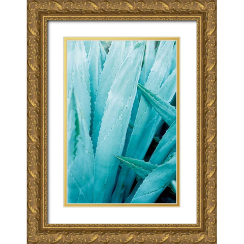 Abstract Agava I Color Gold Ornate Wood Framed Art Print with Double Matting by Urquhart, Elizabeth