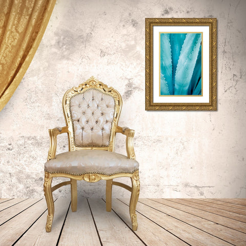 Abstract Agava III Color Gold Ornate Wood Framed Art Print with Double Matting by Urquhart, Elizabeth