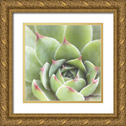 Garden Succulents III Color Gold Ornate Wood Framed Art Print with Double Matting by Marshall, Laura