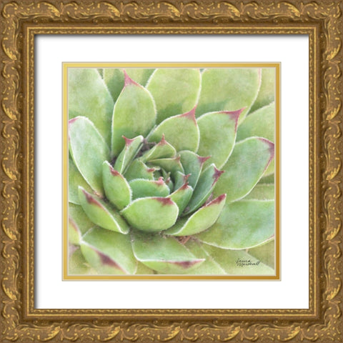 Garden Succulents IV Color Gold Ornate Wood Framed Art Print with Double Matting by Marshall, Laura