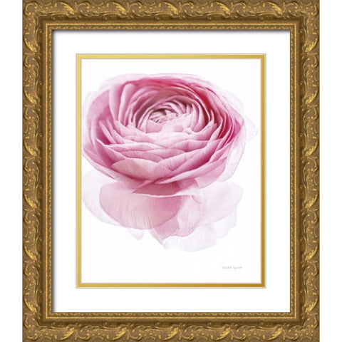 Pink Lady I Gold Ornate Wood Framed Art Print with Double Matting by Urquhart, Elizabeth