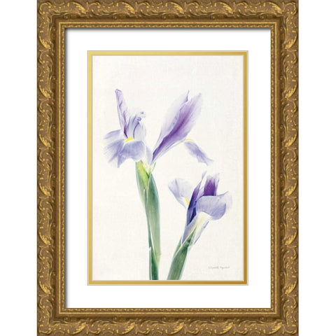 Light and Bright Floral III Gold Ornate Wood Framed Art Print with Double Matting by Urquhart, Elizabeth